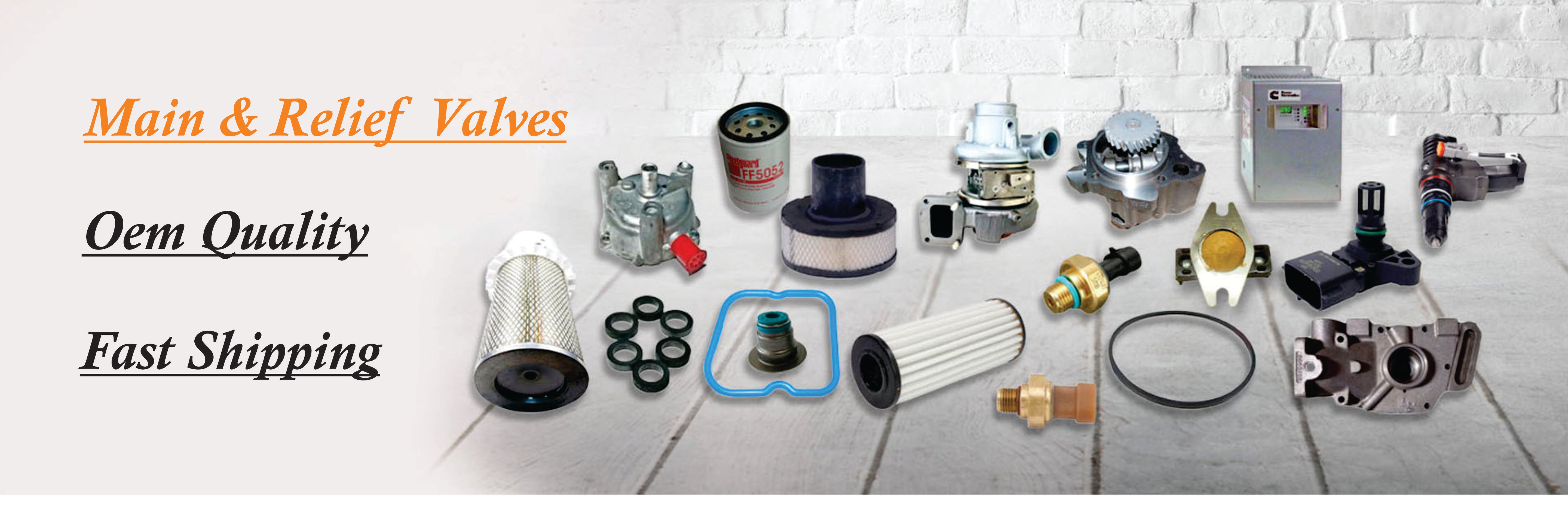 Main & Relief Valves