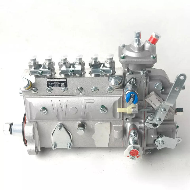Fuel Injection Pump for Cummins 6B 6BT5.9 Series Fits Delphi 3971476