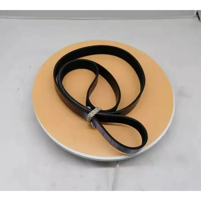 1 PCS New 3288497 V-Ribbed Belt Fits Cummins-商业/工业-BeeSpareParts