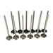 12Pcs Intake & Exhaust Valves Set For BMW 318i MINI Cooper One F30 F55 F56 B38A 1.5-BeeSpareParts