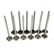 12Pcs Intake & Exhaust Valves Set For BMW 318i MINI Cooper One F30 F55 F56 B38A 1.5-BeeSpareParts