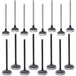 16pcs Intake & Exhaust Valves Set For Ford Ranger Land Rover Defender 2.2 2.4 TDCi TD4-BeeSpareParts