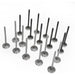 20pcs Intake Exhaust Valves Set For Volvo S40 S60 S80 C30 C70 XC90 2.4 2.5 L5 B5244S B5254T-BeeSpareParts