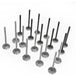 20pcs Intake Exhaust Valves Set For Volvo S40 S60 S80 C30 C70 XC90 2.4 2.5 L5 B5244S B5254T-BeeSpareParts