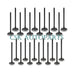 24pcs Inlet & Outlet Camshaft Valves Set For Volvo S60 S80 V60 V70 XC60 3.0 T6 L6 B6304T-BeeSpareParts