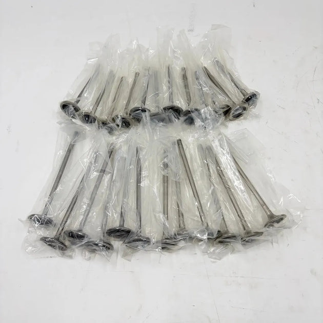 24pcs Intake & Exhaust Valves Set For Porsche Panamera 970 3.6L V6 M46.20 M46.40-BeeSpareParts