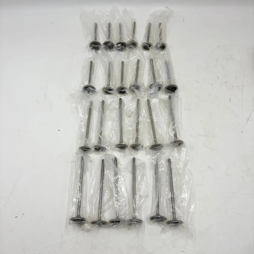 24pcs Intake & Exhaust Valves Set For Porsche Panamera 970 3.6L V6 M46.20 M46.40-BeeSpareParts