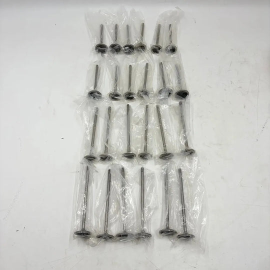 24pcs Intake & Exhaust Valves Set For Porsche Panamera 970 3.6L V6 M46.20 M46.40-BeeSpareParts