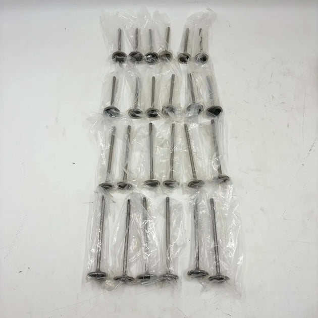 24pcs Intake & Exhaust Valves Set For Porsche Panamera 970 3.6L V6 M46.20 M46.40-BeeSpareParts