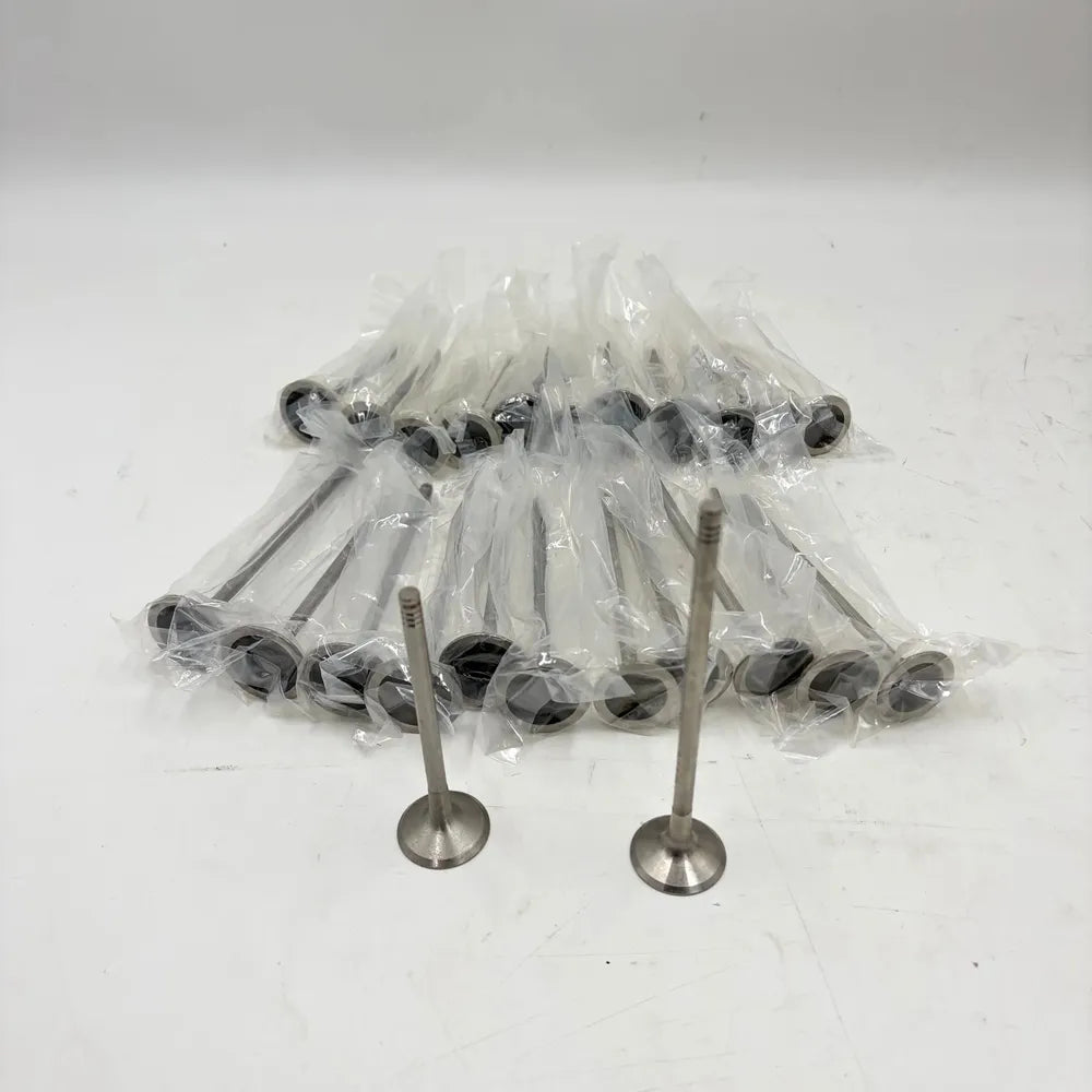 24pcs Intake & Exhaust Valves Set For Porsche Panamera 970 3.6L V6 M46.20 M46.40-BeeSpareParts