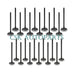 24pcs Intake Exhaust Inlet Outlet Valves Set For Audi VW Golf R32 Passat R36 3.6L VR6-BeeSpareParts