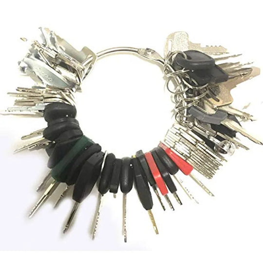 54pcs Heavy Equipment Key Construction Ignition Key S450 H806 5P8500 H800-BeeSpareParts