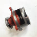 Water Pump 02937441 04259548 04206613 04500930 04205929 for Deutz BFM1013