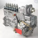 Fits Cummins engine 6CT8.3 C300 PW2000 Fuel Injection Pump 3976375-商业/工业-BeeSpareParts