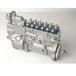 Fits Cummins engine 6CT8.3 C300 PW2000 Fuel Injection Pump 3976375-商业/工业-BeeSpareParts