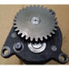 Fits Cummins engine QSK19 Lubricating Oil Pump 3085987 3096326-Oil Pump-BeeSpareParts