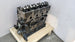 BRAND NEW 5L 5LE ENGINE LONG BLOCK 3.0L FOR TOYOTA HILUX PICKUP HIACE DYNA150 CONDOR CAR ENGINE