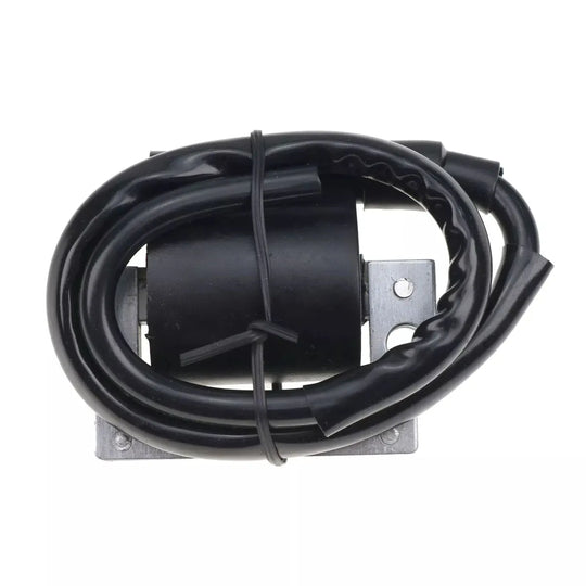 Ignition Coil 278001414 278001415 278001416 278001476 278001573 For Sea-Doo 951-BeeSpareParts