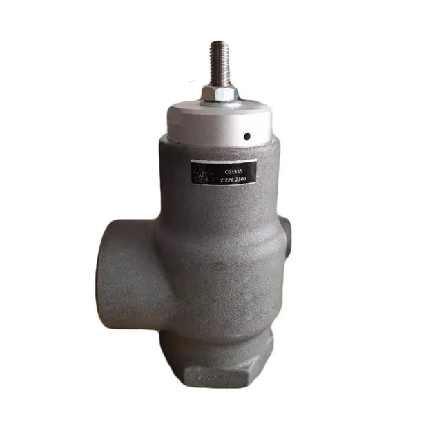 Minimum Pressure Valve 2205469300 for Atlas Copco Compressor 2205-4693-00-BeeSpareParts