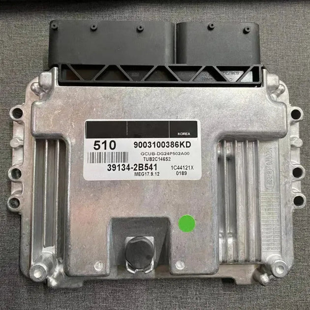 NEW 39134-2B541 ECU Car Engine Computer Board MEG17.9.12 fit for KIA-510-BeeSpareParts