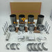 Overhaul Rebuild Kit for Deutz BF4M1011 Engine-BeeSpareParts