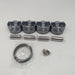 Pistons & Ring Kit Fit For Buick Encore Chevrolet Equinox GMC LFV LYX 1.5T-BeeSpareParts
