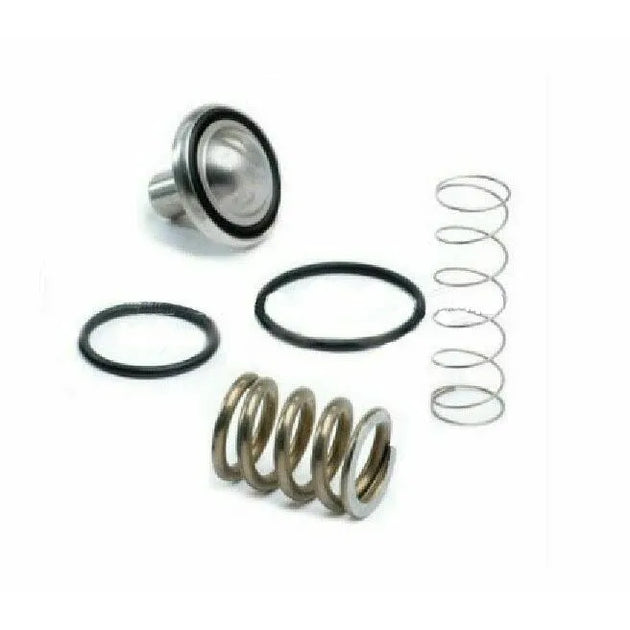Pressure Valve Kit 1513040081 for Atlas Copco Compressor Parts 1513-0400-81-BeeSpareParts