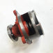 Water Pump 02937441 04259548 04206613 04500930 04205929 for Deutz BFM1013-BeeSpareParts