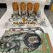N844L N844T N844LT Overhaul Rebuild Kit for Shibaura Engine STD