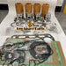N844LT-D Overhaul Rebuild Kit for Case 410 SR175 SV185 Skid Steer DX55 Tractor