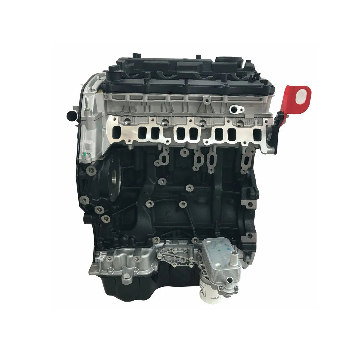 BRAND NEW V348 ENGINE LONG BLOCK 2.2L 2.4L 4D22 4D24 FOR FORD PUMA TRANSIT V348-BeeSpareParts