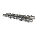 Camshaft 13020-AD202 13020-8H810 for NISSAN YD25 engine-Replacement Aftermarket Parts