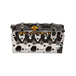 Complete Cylinder Head 111011050 for Perkins Engine 403D-15 403D-15T 403D-15G-BeeSpareParts
