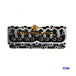 Cylinder Head For Isuzu C240 Engine TCM Komatsu Hyster Forklift Truck-BeeSpareParts