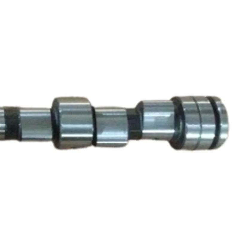 Engine parts A14SMS camshaft 96352886 camshaft for DAEWOO LANOS Saloon (KLAT) 1.4-BeeSpareParts