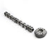 Exhaust Camshaft + Adjuster For BMW 320i 528i F10 F25 F30 F32 E84 E89 N20 2.0T-BeeSpareParts