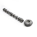 Exhaust Camshaft + Adjuster For BMW 320i 528i F10 F25 F30 F32 E84 E89 N20 2.0T-BeeSpareParts