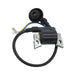 For Kipor GS3000 GS6000 IG3500 IG6000 Generator Ignition Coil KG3300ti-13300-Replacement Aftermarket Parts