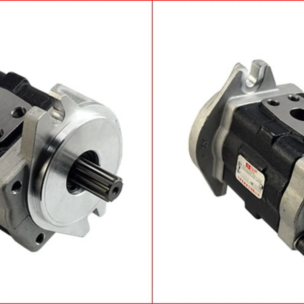 Forklift parts hydraulic pump used for E-bicycle with DSG05A20F1H9-L224C-BeeSpareParts