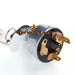 Ignition Switch K203992 for Case 1190 1194 1290 1390 1490 1690 1818 1825 580F 580G DH7-BeeSpareParts