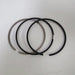 New 4 x STD Piston & Ring Set Kit FOR Nissan BD30 Turbo Engine-Overhaul Rebuild Kit-BeeSpareParts