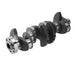 New Crankshaft For BMW 320i 428i X3 Z4 F20 F30 F32 E84 E89 F25 N20 2.0 Engine-BeeSpareParts