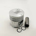 New Rebuild Kit For Mitsubishi S4S Engine Piston 32A17-10100 94mm-BeeSpareParts