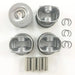 PISTON AND RING 03F107065A 03F107065D 03F107065F 03F107065G FOR AUDI VW SEAT SKODA 1.2T CBZA CBZB STD 0.25 0.50-BeeSpareParts