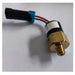 Switch Oil Pressure 6676053 for Kubota D722 Bobcat 319 320 321 322 323 324 418 453 463 E08 E10 E14 E16-BeeSpareParts