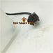 Water Tank W/Sensor 20Y-06-15240 For Komatsu PC200-8 PC200-7 PC220-8 PC130-8-BeeSpareParts